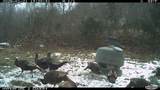 0 Pool Branch - Photo 70