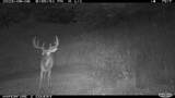 0 Pool Branch - Photo 71