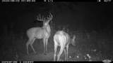 0 Pool Branch - Photo 76