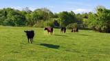  2-A Harrodsburg Road - Photo 18