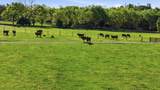  2-A Harrodsburg Road - Photo 19