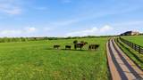  2-A Harrodsburg Road - Photo 32