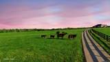  2-A Harrodsburg Road - Photo 33