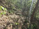 321 Mill Creek Road - Photo 4