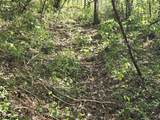 321 Mill Creek Road - Photo 5