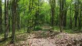 1271A Tunnel Ridge Rd - Photo 18