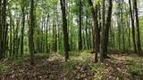 1271A Tunnel Ridge Rd - Photo 19