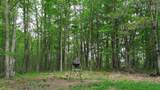 1271A Tunnel Ridge Rd - Photo 52