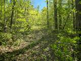 Tract C Angel Ridge Road - Photo 16