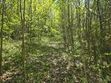 Tract C Angel Ridge Road - Photo 17