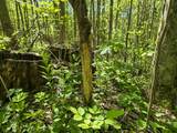 Tract C Angel Ridge Road - Photo 19