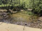 1568 Quicks Run Road - Photo 12