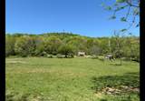 1568 Quicks Run Road - Photo 6