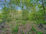 0 Hawn Branch Road - Photo 8