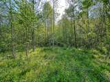0 Hawn Branch Road - Photo 9
