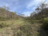 694A Tunnel Ridge Road - Photo 48