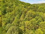 100 Abney Hollow Road - Photo 26