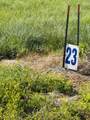 119 Hawk - Photo 4