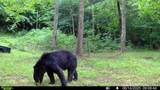 1051 Kelley Lane Spann Hill - Photo 38