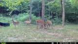 1051 Kelley Lane Spann Hill - Photo 40