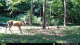 1051 Kelley Lane Spann Hill - Photo 41