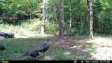 1051 Kelley Lane Spann Hill - Photo 42
