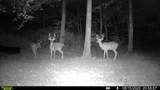 1051 Kelley Lane Spann Hill - Photo 44