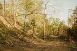 2697 Pine Ridge Road - Photo 11