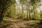 2697 Pine Ridge Road - Photo 7