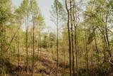 2697 Pine Ridge Road - Photo 9