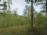 999 Big Cave Road - Photo 2