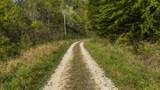 0 Lower Cane Creek/Edwards Road - Photo 14