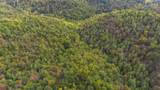 0 Lower Cane Creek/Edwards Road - Photo 17