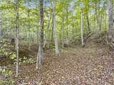 0 Lower Cane Creek/Edwards Road - Photo 25