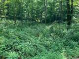 91 Flags Fork Road - Photo 12