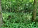 91 Flags Fork Road - Photo 4