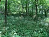 91 Flags Fork Road - Photo 7