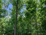 91 Flags Fork Road - Photo 8
