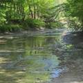 0 Fishing Creek Road - Photo 3