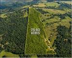 1520 Alton Station Road - Photo 1
