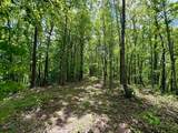 100A Open Fork Road - Photo 10