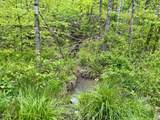 100A Open Fork Road - Photo 13