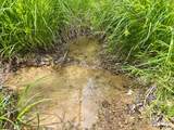 100A Open Fork Road - Photo 14
