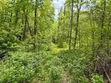 100A Open Fork Road - Photo 18