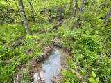 100A Open Fork Road - Photo 19
