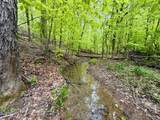 100A Open Fork Road - Photo 2