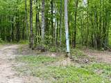 100A Open Fork Road - Photo 21