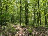 100A Open Fork Road - Photo 22