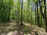 100A Open Fork Road - Photo 25