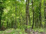100A Open Fork Road - Photo 26